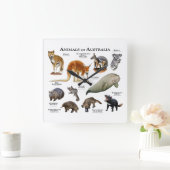 Tiere aus Australien Quadratische Wanduhr (Zuhause)