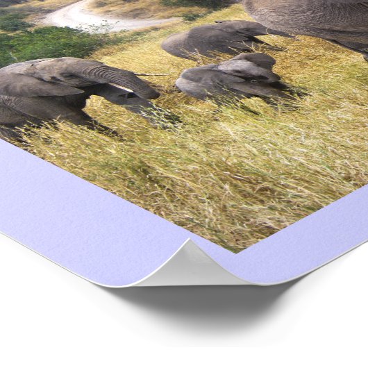 Tiere aus Tansania und Afrika Poster (Ecke)