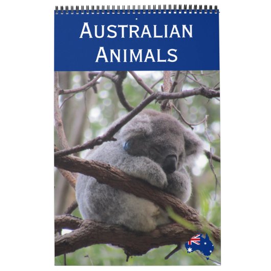 Tiere Australiens 2027 Kalender (Titelbild)