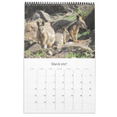 Tiere Australiens 2027 Kalender (Mär 2027)