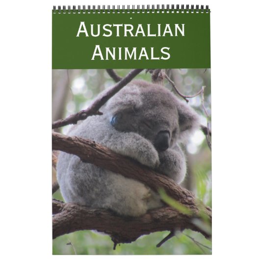 Tiere Australiens 2027 Kalender (Titelbild)