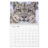 Tiere Bildkalender Kalender (Jan 2027)