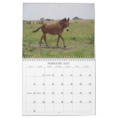 Tiere Calander Kalender (Feb 2027)
