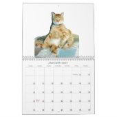 Tiere Calander Kalender (Jan 2027)