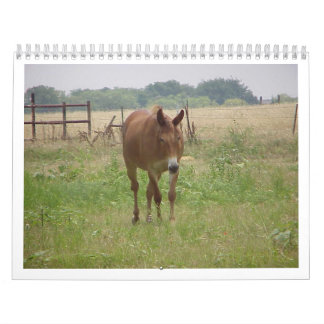 Tiere Calander Kalender