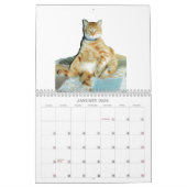 Tiere Calander Kalender (Jan 2026)
