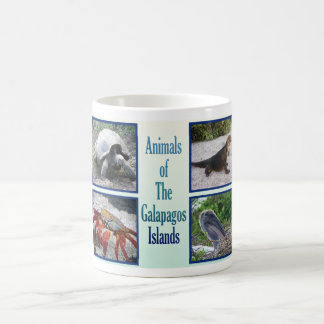Tiere der Galapagos-Inseln Kaffeetasse