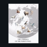 Tiere der Nordpol-Arktis Postkarte<br><div class="desc">Dieses Design kann durch Auswahl der Option Design bearbeiten personalisiert werden. Sie können auch auf andere Gegenstände übertragen. Kontaktieren Sie mich unter colorflowcreations@gmail.com oder nutzen Sie die Chat-Option oben auf der Seite, wenn Sie dieses Design auf einem anderen Produkt haben möchten oder Hilfe benötigen. Sehen Sie mehr von meinen Designs...</div>