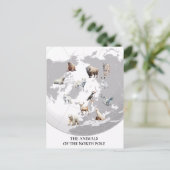 Tiere der Nordpol-Arktis Postkarte (Stehend Vorderseite)