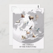 Tiere der Nordpol-Arktis Postkarte (Vorne/Hinten)