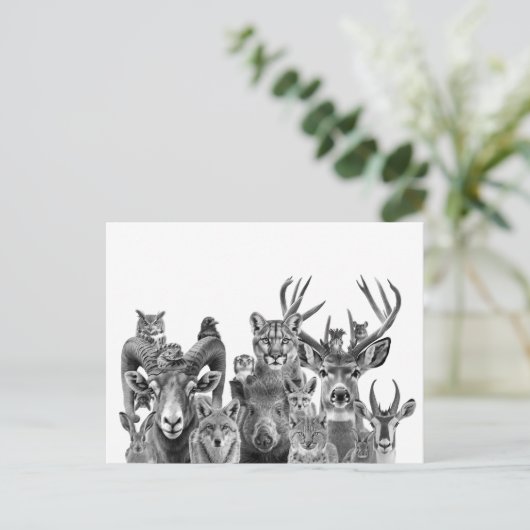 Tiere der Sonoran-Wüste im Südwesten Postkarte (Stehend Vorderseite)