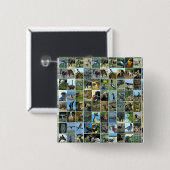 Tiere der Welt Button (Vorne & Hinten)