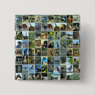 Tiere der Welt Button