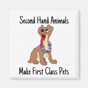 Tiere der zweiten Hand machen erstes Klassenzimmer Magnet