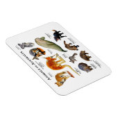 Tiere des Australischen Magnet (Rechte Seite)