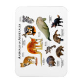 Tiere des Australischen Magnet (Vertikal)