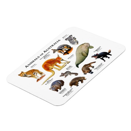 Tiere des Australischen Magnet (Linke Seite)