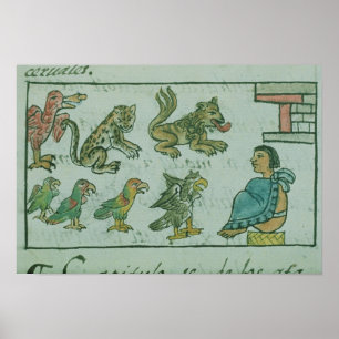 Tiere des aztekischen Kaisers Poster
