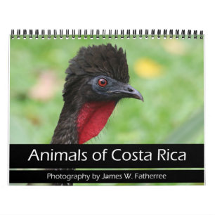 Tiere des Costa Rica Kalenders Kalender