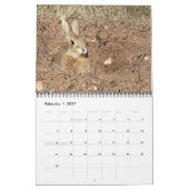 Tiere des Customer Staat Park 2026 Kalender (Feb 2027)