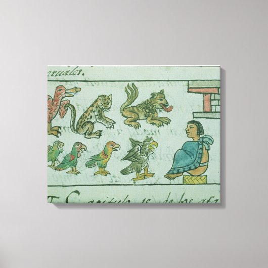 Tiere des Kaisers von Aztec Leinwanddruck (Vorderseite)