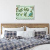 Tiere des Kaisers von Aztec Leinwanddruck (Insitu (Schlafzimmer))