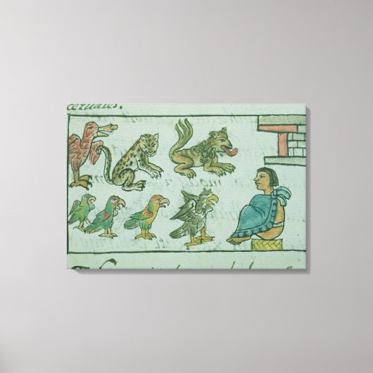 Tiere des Kaisers von Aztec Leinwanddruck (Vorderseite)