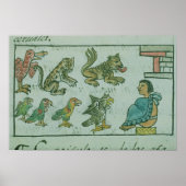 Tiere des Kaisers von Aztec Poster (Vorne)