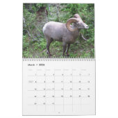 Tiere des Kalenders des Glacier Nationalpark-2015 Kalender (Mär 2026)