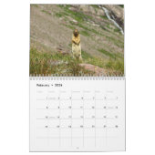 Tiere des Kalenders des Glacier Nationalpark-2015 Kalender (Feb 2026)