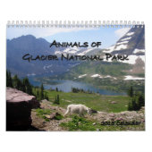 Tiere des Kalenders des Glacier Nationalpark-2015 Kalender (Titelbild)