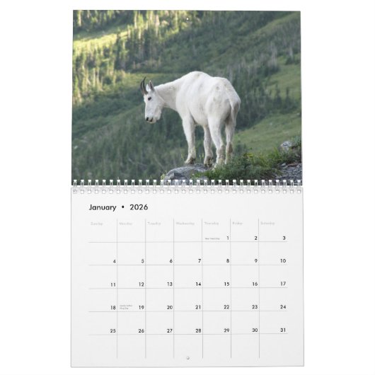 Tiere des Kalenders des Glacier Nationalpark-2015 Kalender (Jan 2026)