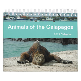 Tiere des Kalenders Galapagos 2019 Kalender