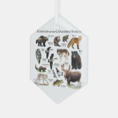"Tiere des kanadischen Schilds." Ornament Aus Glas (Vorderseite Links)