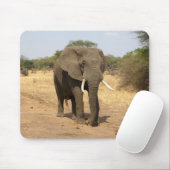 Tiere, Elefanten, Natur Mousepad (Mit Mouse)