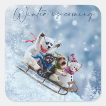 Tiere fahren auf Schlitten den Berg hinunter