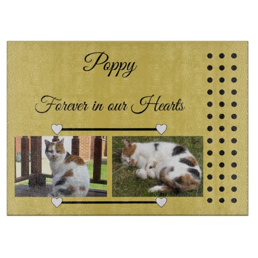 Tiere Forellen Gold und schwarzes Foto Schneidebrett (Vorderseite)