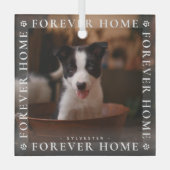 Tiere Forever Zuhause Foto Typografie Keepake Ornament Aus Glas (Vorderseite)