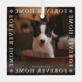 Tiere Forever Zuhause Foto Typografie Keepake Ornament Aus Glas (Rückseite)