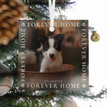 Tiere Forever Zuhause Foto Typografie Keepake Ornament Aus Glas<br><div class="desc">Erinnern Sie sich an die 1. Weihnachtsfeier in ihrer ewigen Zuhause mit diesem eleganten Foto-Glas-Ornament. Design enthält den Text 'FOREVER ZUHAUSE' in weißer Typografie,  der ein Bild Ihrer Wahl abbildet,  niedliche kleine weiße Pfoten mit Herzzentren und ihrem Namen.</div>