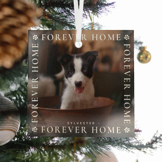 Tiere Forever Zuhause Foto Typografie Keepake Ornament Aus Glas