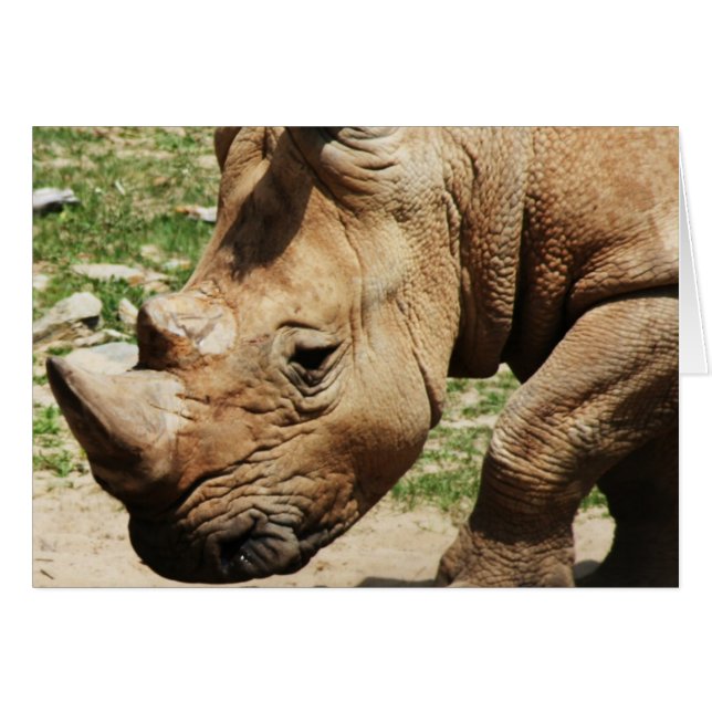 TIERE FOTOS MITTEILUNGSKARTEN (Vorderseite (Horizontal))