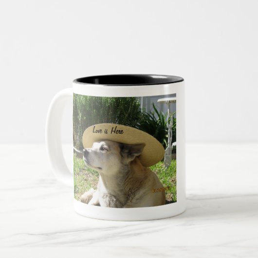 Tiere geben Liebe Zweifarbige Tasse (Vorderseite Links)