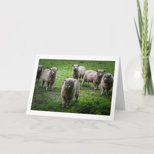 Tiere Grüße Karte, leer innen. Karte (Vorderseite)