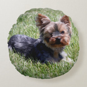 Tiere Haustiere Hunde Adorable Yorkie Round Pillow Rundes Kissen