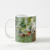 Tiere Haustiere Hunde von Welpen Kaffeetasse (Links)