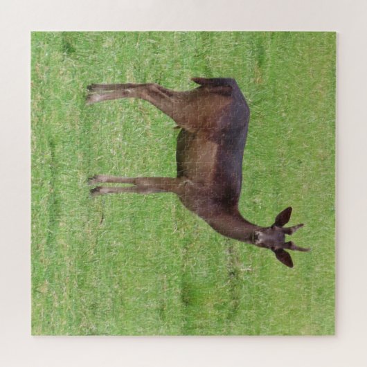 Tiere, Hirsche, Natur, wild lebende Tiere, Jungtie Puzzle (Horizontal)