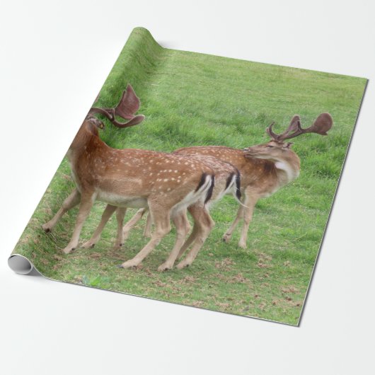 Tiere, Hirsche, wild lebende Tiere, Wald, Wiese, J Geschenkpapier (Ungerollt)