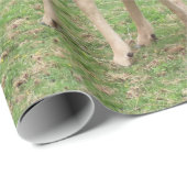 Tiere, Hirsche, wild lebende Tiere, Wald, Wiese, J Geschenkpapier (Rolleneckpunkt)