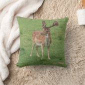 Tiere, Hirsche, wild lebende Tiere, Wald, Wiese, J Kissen (Decke)